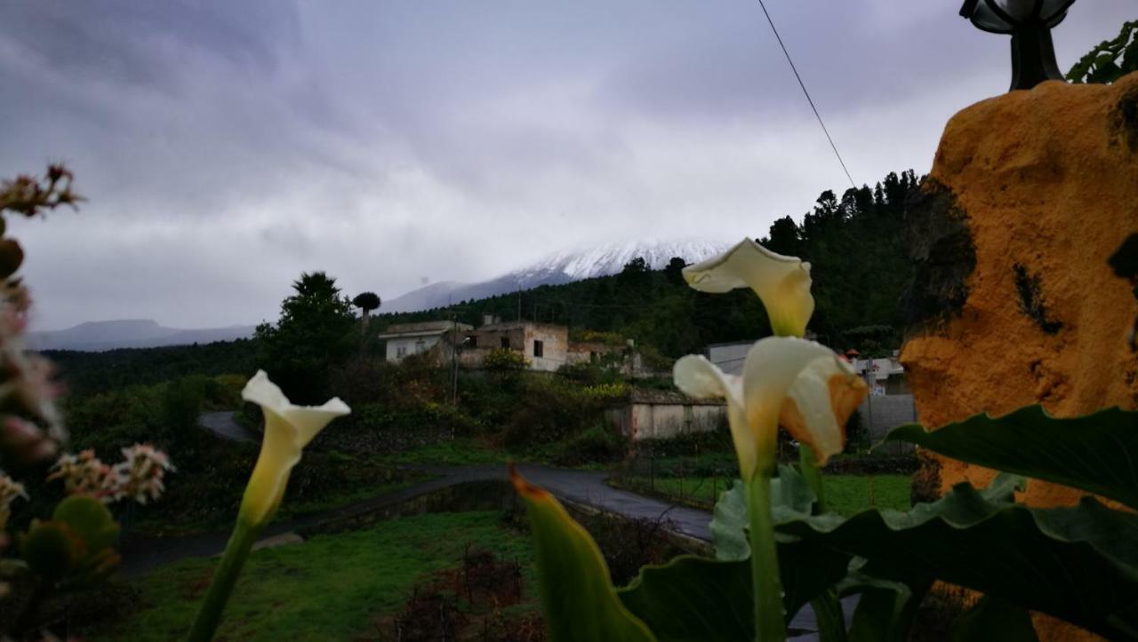 Country Private Studio Guest House El Amparo Exterior photo